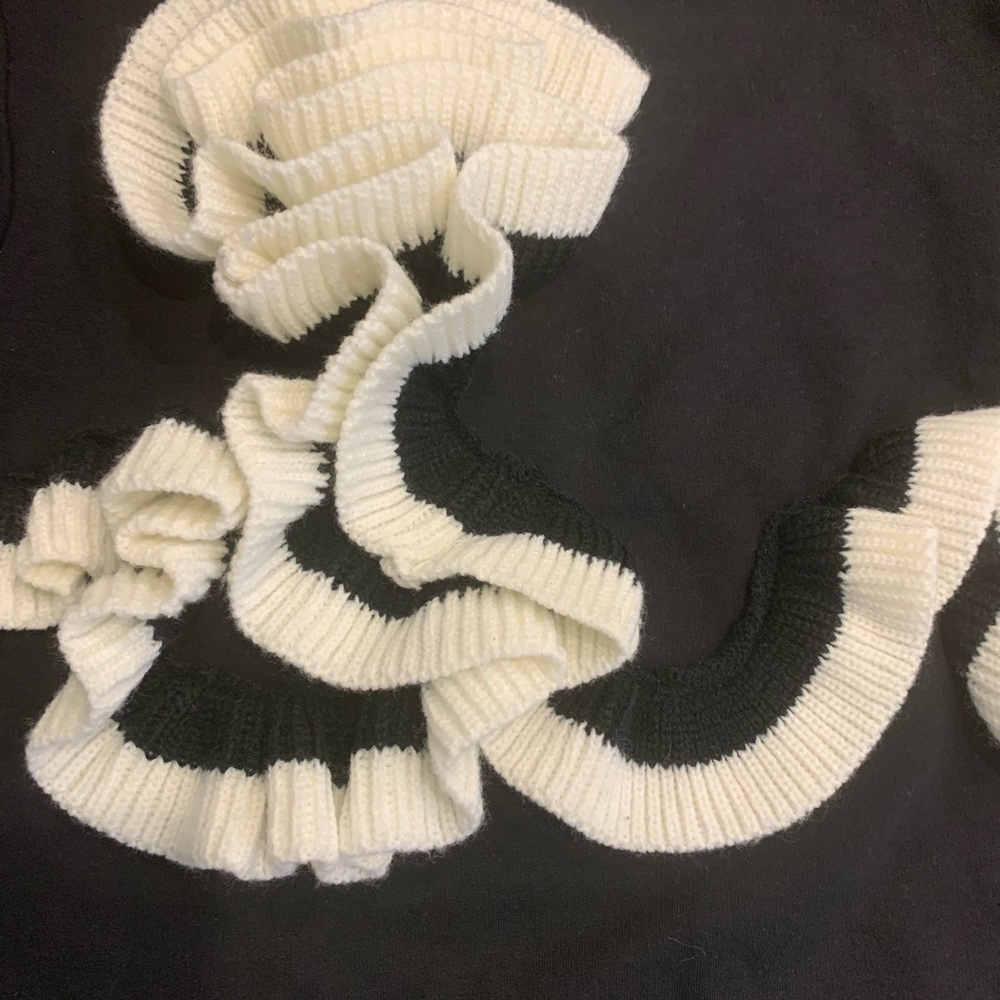 BOGO Zara Ruffled Sweater - Picture 3 of 5